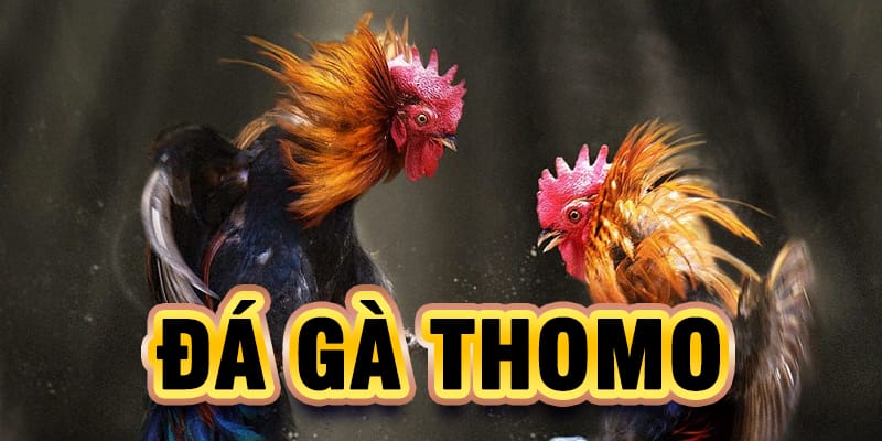 ÄÃ¡ GÃ  Thomo