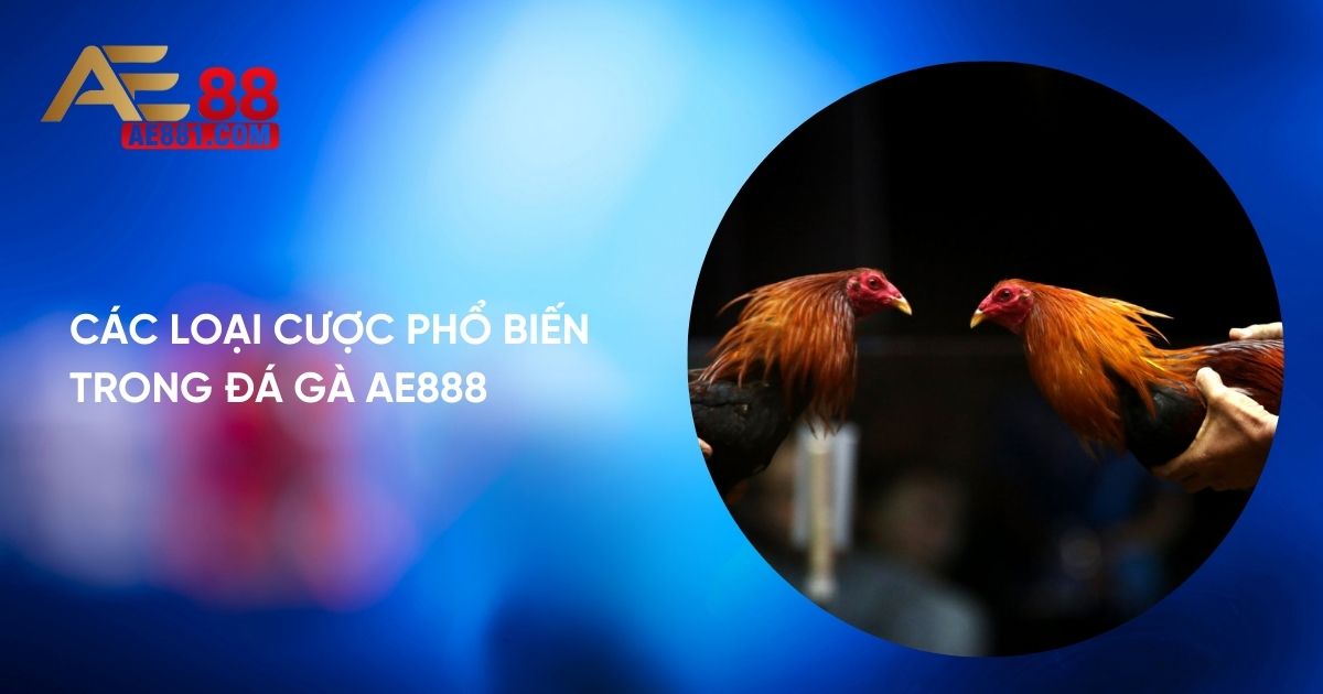 Các loại cược phổ biến trong Đá gà Thomo