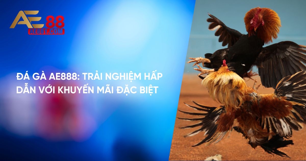 Đá gà Thomo