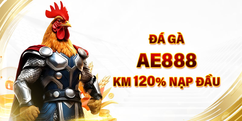 Đá gà Ae888